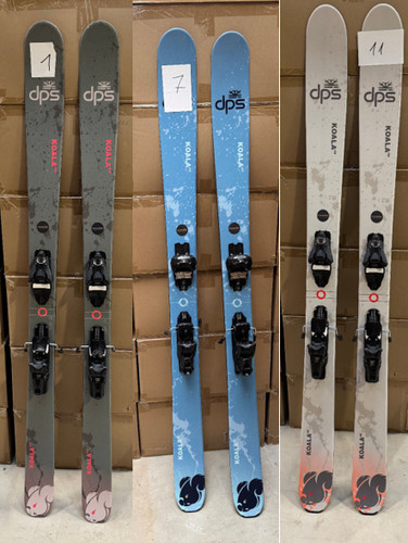 Dps ski koala - koala, *testski